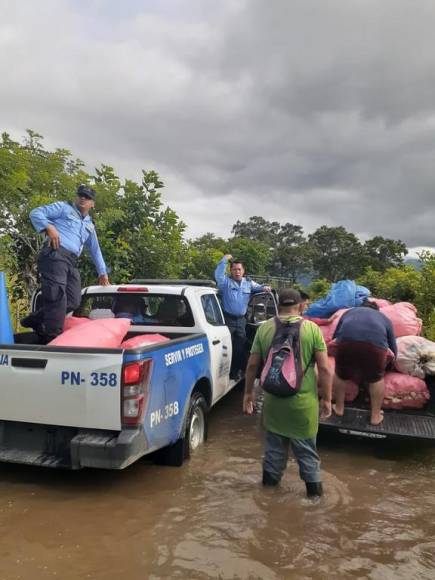 Sacados en brazos, con pocas pertenencias y sus animalitos: el drama que viven familias evacuadas (Fotos)