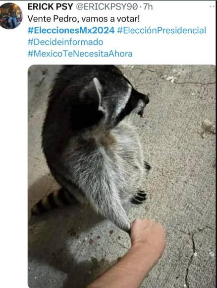 Las redes explotan con memes por las elecciones en México