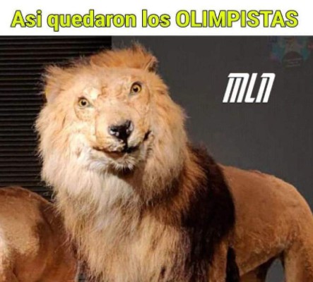 Los mejores memes tras derrota de Tigres sobre el Olimpia en la Concachampions (FOTOS)