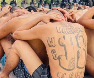 Luego de una jornada de violencia y muerte en las cárceles de Honduras durante dos meses, los reclusos han sido sorprendidos por cientos de militares desde tempranas horas en cada uno de los módulos, donde se han realizado sorprendentes hallazgos y se han capturado impactantes imágenes que muestran la realidad del sistema penitenciario hondureño. Aquí algunas de las mejores.