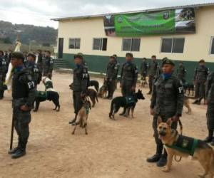 Actualmente la Policía Militar a través del Primer Batallón Canino mantiene 131 binomios.