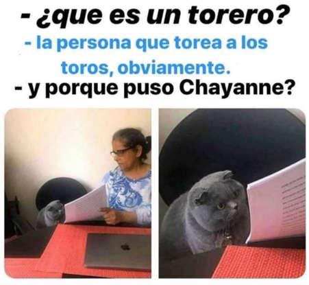 ¡Imperdibles! Chayanne pidió memes y sus fanáticos llenaron Twitter