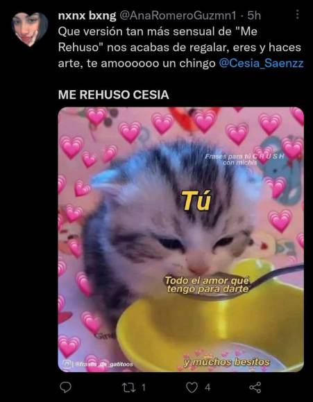 ¡Una locura! Fans de Cesia Sáenz comparten memes tras estreno del sencillo “Me rehúso”