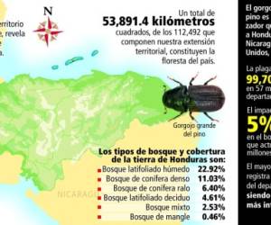 Bosques en Honduras.