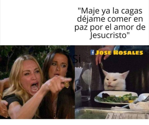 Los memes más graciosos del gato en la mesa y la mujer gritando