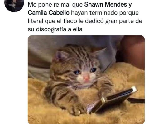 ¿Con quién se queda el perro? Los memes que dejó la separación de Camila Cabello y Shawn Mendes