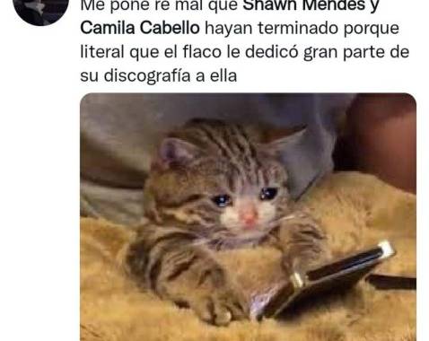 Con quién se queda el perro? Los memes que dejó la separación de Camila  Cabello y