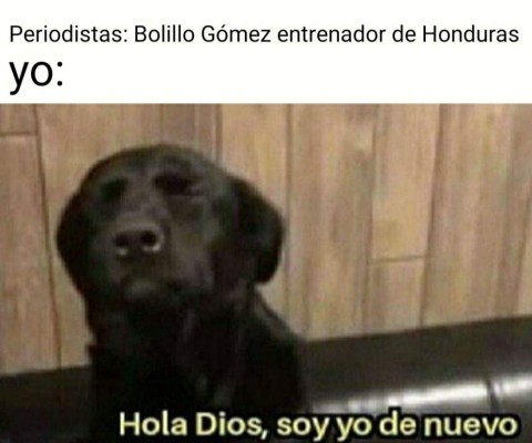 'Bolillo' Gómez desata ola de memes al ser anunciado como entrenador de Honduras