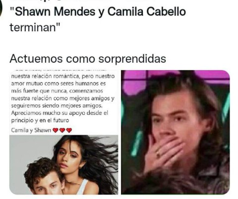 ¿Con quién se queda el perro? Los memes que dejó la separación de Camila Cabello y Shawn Mendes