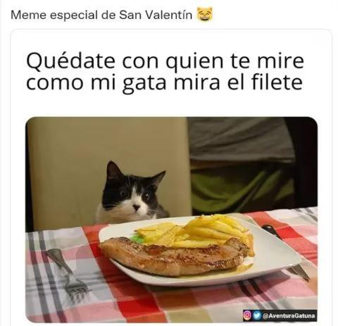 ¿El amor está en el aire? Los mejores memes por Día de San Valentín