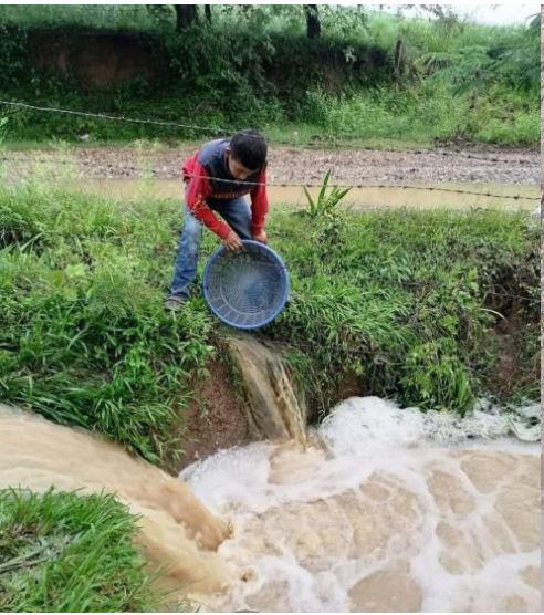 Tradicional lluvia de peces sorprende a los pobladores de Yoro