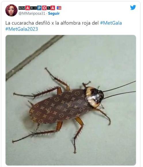 Los imperdibles memes de la cucaracha de la Met Gala 2023