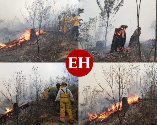 EN FOTOS: Bomberos combaten voraz incendio en El Hatillo