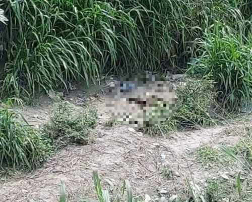 Lo que se sabe sobre el macabro asesinato de un niño en San Pedro Sula