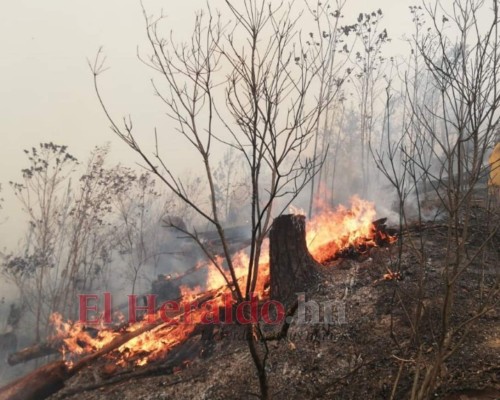 EN FOTOS: Bomberos combaten voraz incendio en El Hatillo