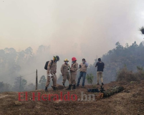 EN FOTOS: Bomberos combaten voraz incendio en El Hatillo