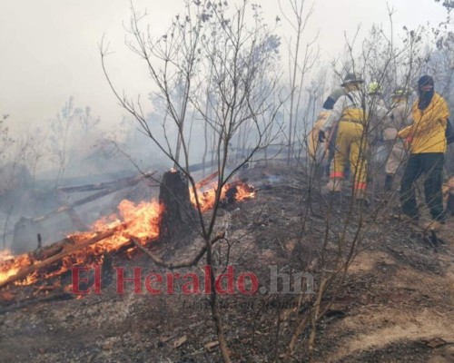 EN FOTOS: Bomberos combaten voraz incendio en El Hatillo