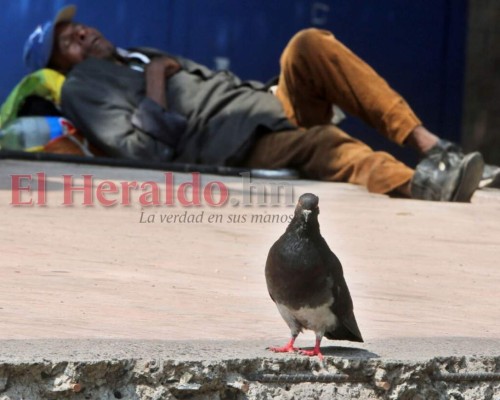 FOTOS: Capitalinos siguen en la calle en pleno toque de queda