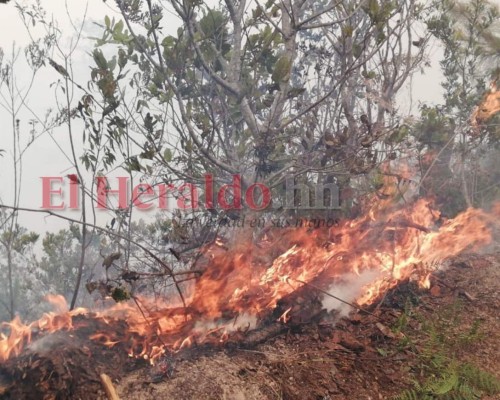 EN FOTOS: Bomberos combaten voraz incendio en El Hatillo