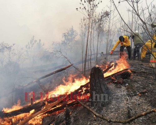 EN FOTOS: Bomberos combaten voraz incendio en El Hatillo