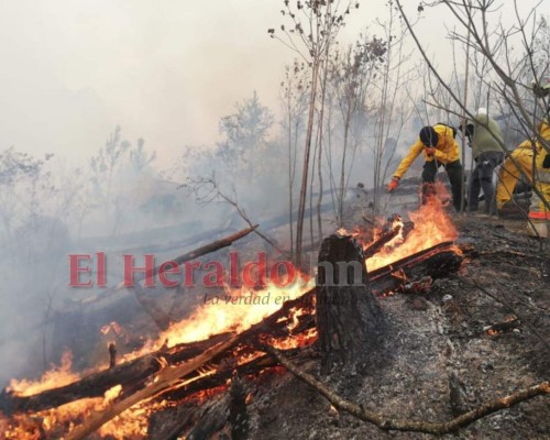 EN FOTOS: Bomberos combaten voraz incendio en El Hatillo