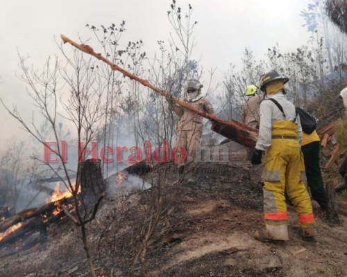 EN FOTOS: Bomberos combaten voraz incendio en El Hatillo