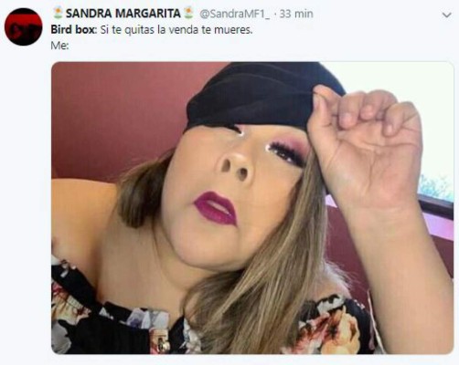 Destrozan a Sandra Bullock con divertidos memes de la película Bird Box: A ciegas