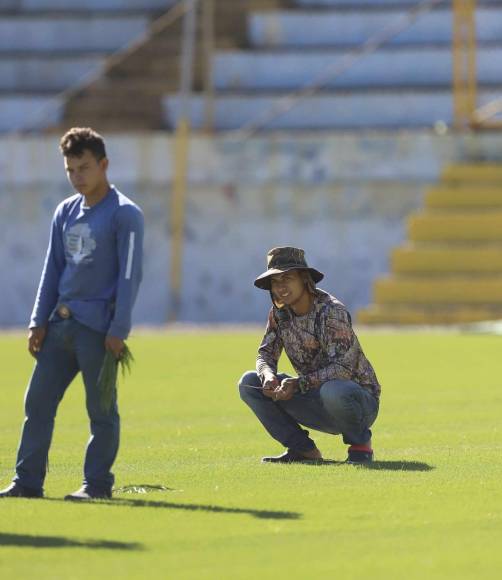 ¡Una lindura! Así quedó la grama híbrida en el estadio Morazán