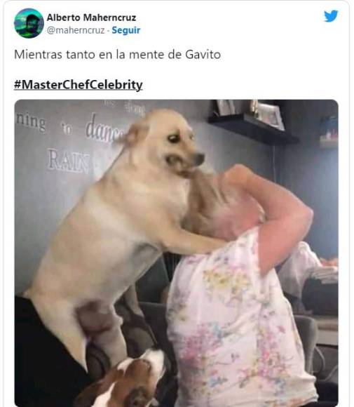 Arturo López Gavito deja los mejores memes en su primera noche en MasterChef Celebrity