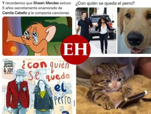 Con quién se queda el perro? Los memes que dejó la separación de Camila  Cabello y Shawn Mendes