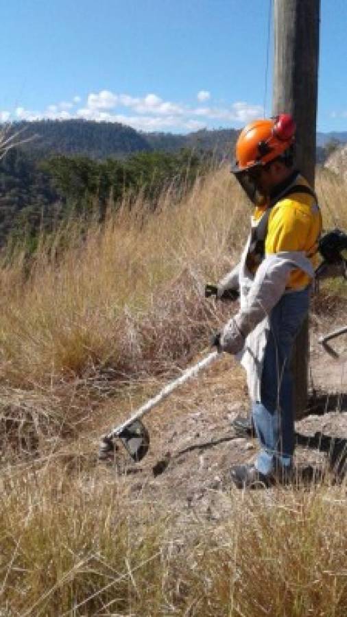 Cuadrillas de EEH realizan trabajos preventivos 