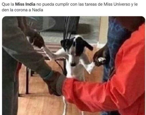 Memes que dejó el 'miau' de Harnaaz Sandhu en ceremonia de Miss Universo