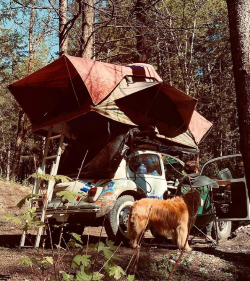 Muere influencer que recorrió el continente americano junto a su perro Shurastey