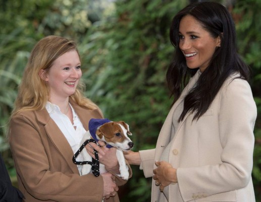 Meghan Markle se encariña de un perro en su visita a un refugio de animales