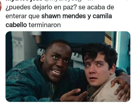 ¿Con quién se queda el perro? Los memes que dejó la separación de Camila Cabello y Shawn Mendes