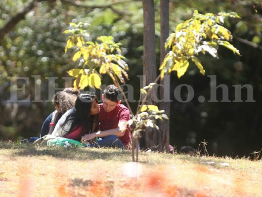 Universitarios de la UNAH viven con intensidad previo al amor y la amistad