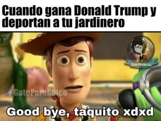 Los mejores memes del triunfo de Donald Trump en EEUU