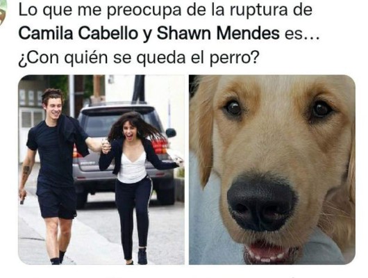 ¿Con quién se queda el perro? Los memes que dejó la separación de Camila Cabello y Shawn Mendes