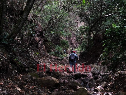 10 datos que debe conocer de la Montaña Triquilapa, el tesoro verde de la capital  