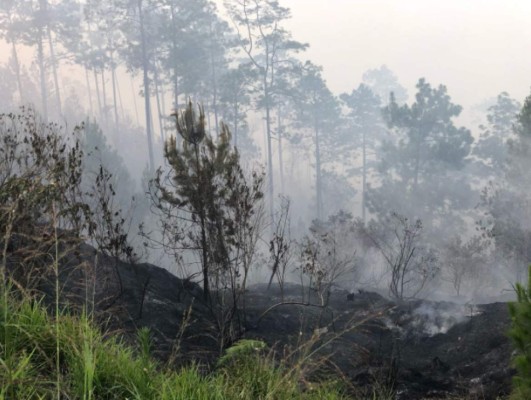 Imágenes del voraz incendio en el cerro Uyuca, salida al oriente de la capital de Honduras