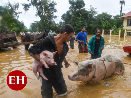 Luto y destrucción: 15 impactantes imágenes del paso de Eta por Honduras