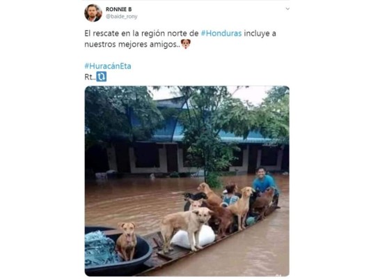 ¡Cuidado Honduras! Estas son las noticias falsas que circulan sobre Eta