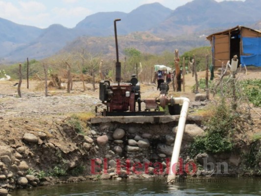 La sequía del río Choluteca reflejada en ocho imágenes