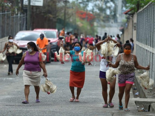 Largas filas y aglomeraciones, pese a que solo un dígito circula este lunes