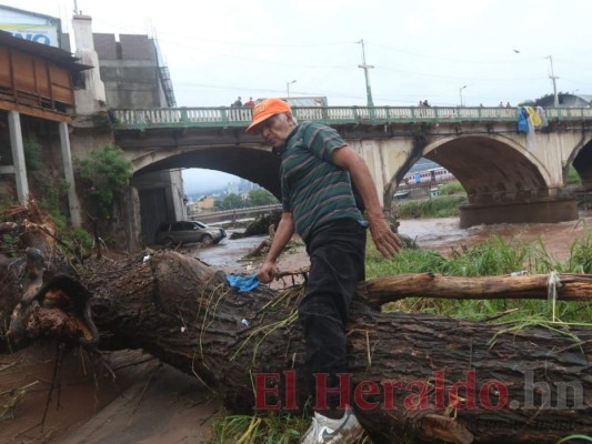 FOTOS: Las huellas de Eta en la capital que reviven la pesadilla del huracán Mitch