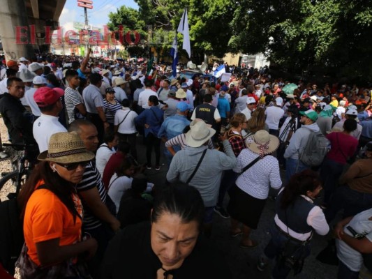 FOTOS: Las masivas protestas convocadas por médicos y maestros pese a la derogación de los PCM