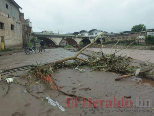 FOTOS: Las huellas de Eta en la capital que reviven la pesadilla del huracán Mitch