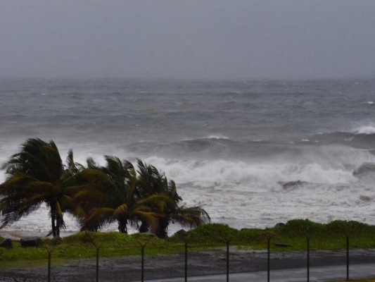 Las primeras imágenes de los estragos del huracán Elsa en el Caribe