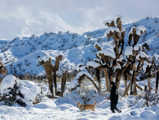 La poderosa tormenta invernal que azota EEUU y ya deja varios muertos