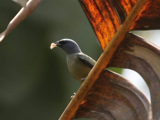 Fotos: Así es la belleza natural del Parque Arqueológico Los Naranjos